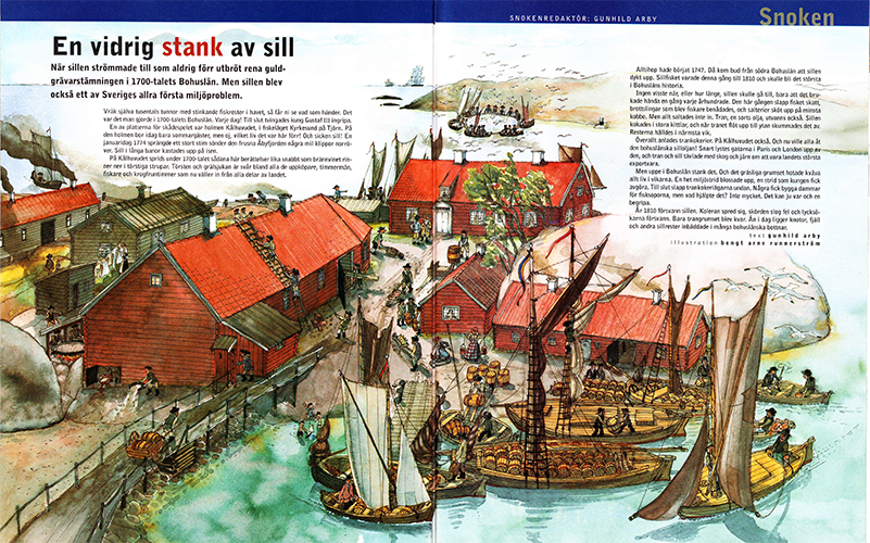 Illustration av skärgårdsö med klippor och röda fabriksbyggnader och en massa segelbåtar fulla med silltunnor i en vik