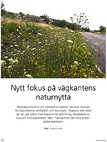 Bild av reportaget Nytt fokus på vägkanters naturnytta